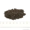 ISTA Premium Soil M (1-3 m) 8 liter - prémium minőségű növényi táptalaj, aljzat