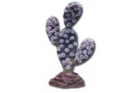 Terráriumi műnövény