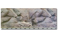 Háttérposzter terráriumba